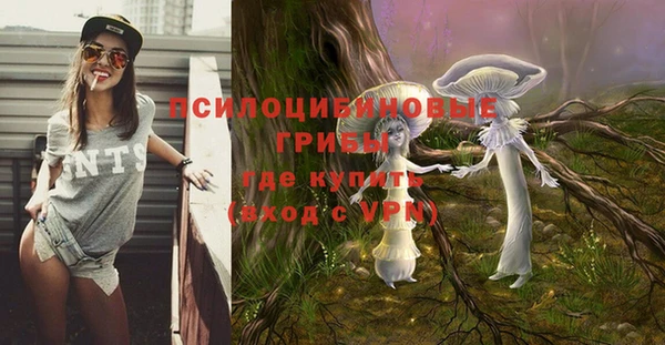гидра Баксан