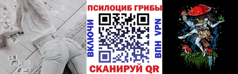 Купить  Снежногорск  Галлюциногенные грибы MAGIC MUSHROOMS 